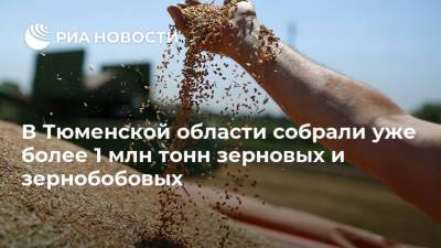 В Тюменской области собрали уже более 1 млн тонн зерновых и зернобобовых