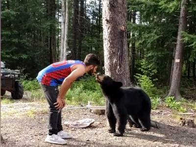 Бородатый супермен: Храбрый мужчина дал медвежонку печенье из рта