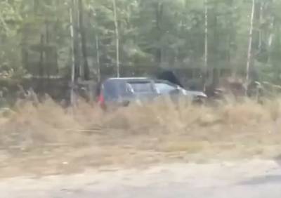 В полиции рассказали о смертельном ДТП на Солотчинском шоссе
