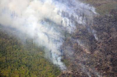 В МЧС заявили об улучшении обстановки с лесными пожарами в России