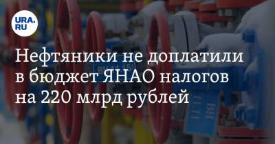 Нефтяники не доплатили в бюджет ЯНАО налогов на 220 млрд рублей