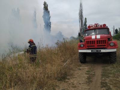 На Луганщине продолжается ликвидация пожаров в экосистемах: оперативная информация