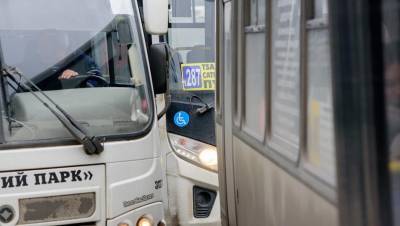Почти 200 дел возбудили в отношении перевозчиков Петербурга в 2020 году