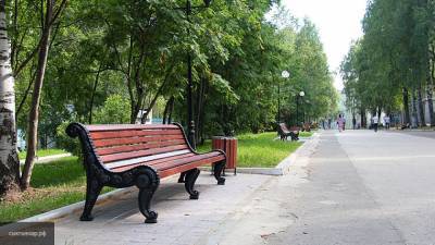 Глава ОНФ Иванова отреагировала на "надгробия" на дорогах Сыктывкара