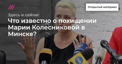 Что известно о похищении Марии Колесниковой в Минске? Рассказывает пресс-секретарь Светланы Тихановской Анна Красулина