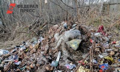 Южные регионы получат миллионы на борьбу с мусором