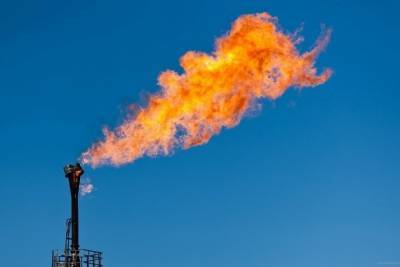 Учёный озвучил идею использования месторождений газа в Забайкалье для развития энергетики