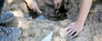 Археологи обнаружили в Карелии следы поселений каменного века