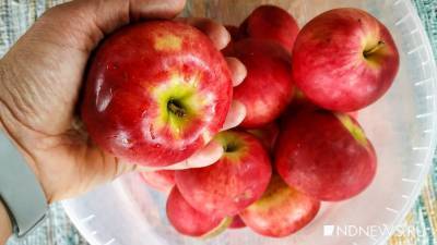 Сидровары объявили сбор яблок у уральских садоводов