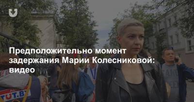 Предположительно момент задержания Марии Колесниковой: видео