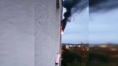 В Зеленограде пожар унес жизни трех человек (видео)