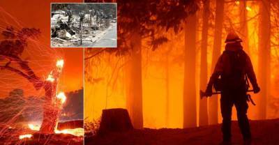 Масштабные лесные пожары в Калифорнии: введен режим ЧС. Фоторепортаж
