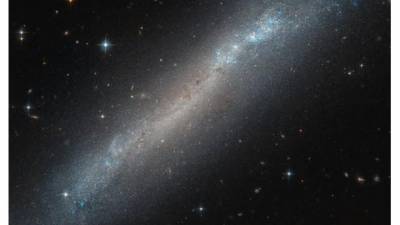 Астрономы получили снимок галактики в созвездии Голуб