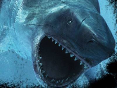 Ученым удалось установить внешность древней акулы мегалодона