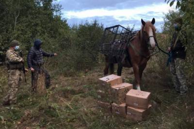 На границе с Россией мужчина пытался провезти в Украину контрабанду на коне (видео)