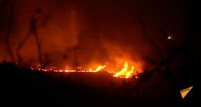 Адская жара и крупные пожары в Сирии: выжжены тысячи акров земли – видео