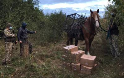 Контрабандист пытался на лошади переправить табак из России в Украину