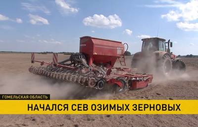 3,5% площадей зерновых и зернобобовых культур осталось убрать в Беларуси
