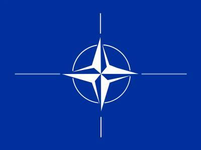 Семён Багдасаров оценил вероятность раскола НАТО из-за спора Греции и Турции