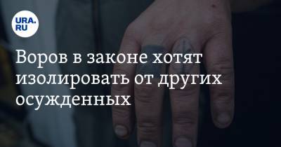 Александр Сидоров - Воров в законе хотят изолировать от других осужденных. Эксперт рассказал, почему это невозможно - ura.news