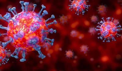 Ученые выяснили, что коронавирус не вызывает цитокиновой бури