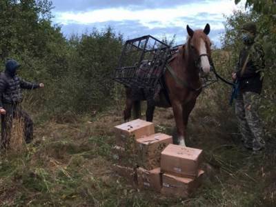 Вестерны отдыхают: Контрабандист на лошади пытался провести российский табак в Украину