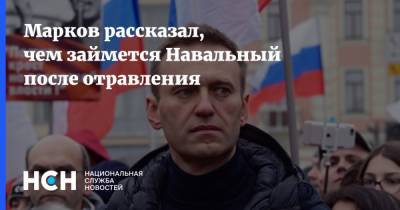 Марков рассказал, чем займется Навальный после отравления