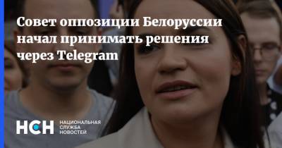 Совет оппозиции Белоруссии начал принимать решения через Telegram