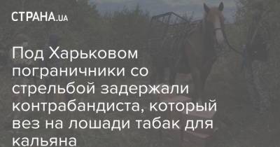 Под Харьковом пограничники со стрельбой задержали контрабандиста, который вез на лошади табак для кальяна