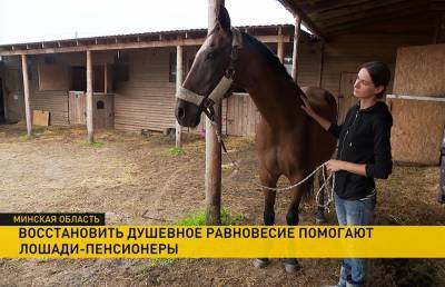 В агроусадбе под Минском спасают от гибели старых лошадей и с их помощью лечат людей