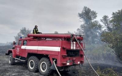 Спасатели ликвидировали лесной пожар в Луганской области