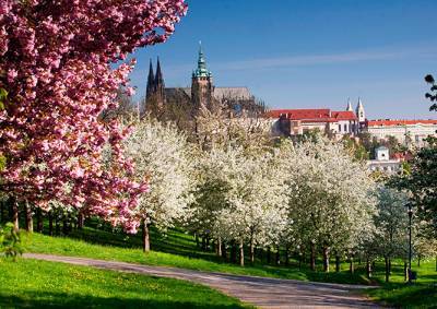 Весна пришла: жителей Чехии ждет аномально теплая неделя