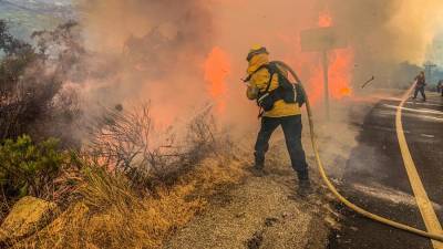 Площадь пожаров в Калифорнии достигла рекордных значений