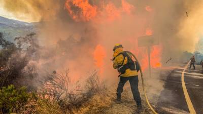 Площадь лесных пожаров в Калифорнии побила исторический рекорд