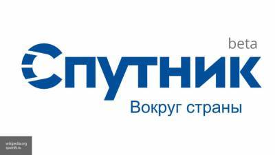 Национальный поисковой сервис "Спутник" отключили