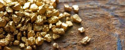 Силовики нашли у жителя Магадана золото и серебро на 2,8 млн рублей