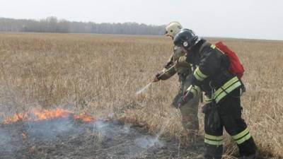 100 млн. рублей выделили Томской области на авиамониторинг и тушение лесных пожаров