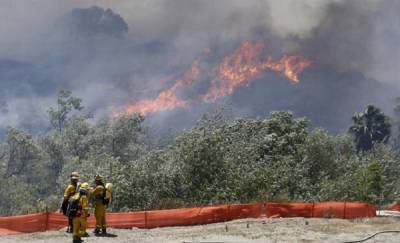 Лесные пожары в Калифорнии поставили новый рекорд по площади