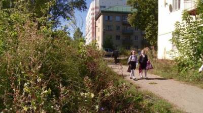 Жители Заводского района боятся отпускать детей в школу из-за бурьяна
