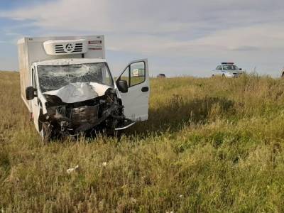 На Южном Урале водитель «ГАЗели» насмерть сбил мужчину, осматривавшего свой автомобиль