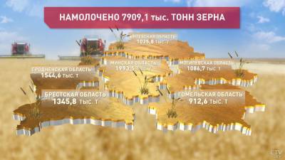 К 7 сентября в Беларуси намолочено почти 8 млн тонн зерна. Лидируют аграрии Минской области