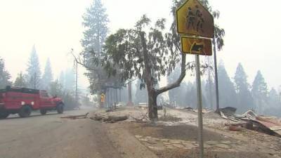 Площадь лесных пожаров в Калифорнии достигла исторического максимума