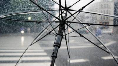 Циклонический вихрь принес в Петербург дожди и умеренное тепло