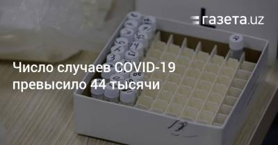 Число случаев COVID-19 превысило 44 тысячи