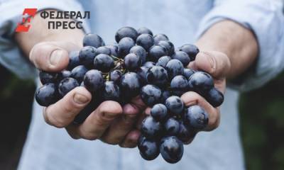 Как выбирать виноград? Объясняет Роскачество