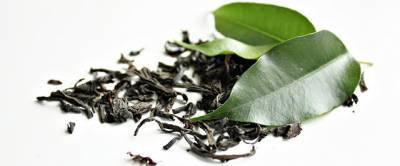 Зелёный чай назван главным помощником в борьбе с инфекциями