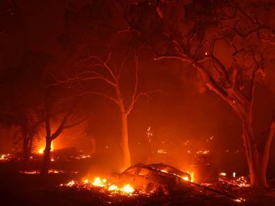 Площадь лесных пожаров в Калифорнии превысила прошлогодний рекорд