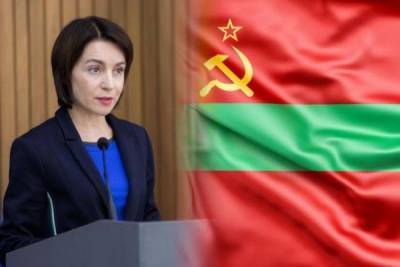 Выборы в Молдавии: «идет подкуп» избирателей из диаспор и в Приднестровье