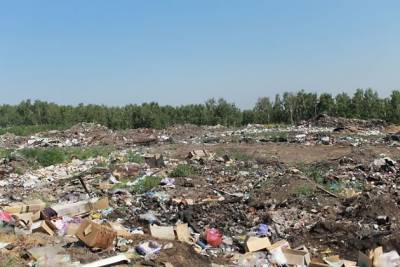 «Олерон+» пожаловался в прокуратуру на жителей Борзинского района, мусорящих около свалки
