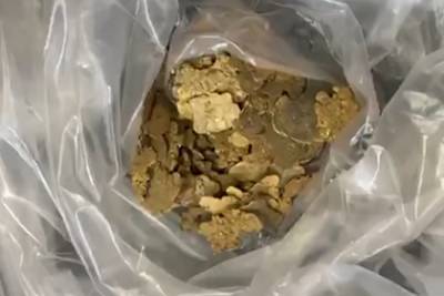 Российский рудокоп спрятал в лесу золота на 8,5 миллиона рублей